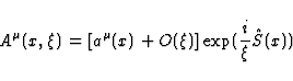 \begin{displaymath}
A^{\mu}(x,\xi) = [a^{\mu}(x) + O(\xi)] \exp(\frac{i}{\xi} \hat{S}(x))\end{displaymath}